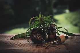 cbd hemp oil